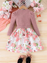 1pc Toddler Girls' Nature Themed Patchwork Long Sleeve Pullover Dress, Autumn/Winter